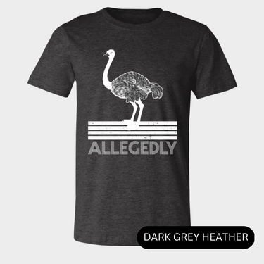 allegedly dark grey heather shirt - bw